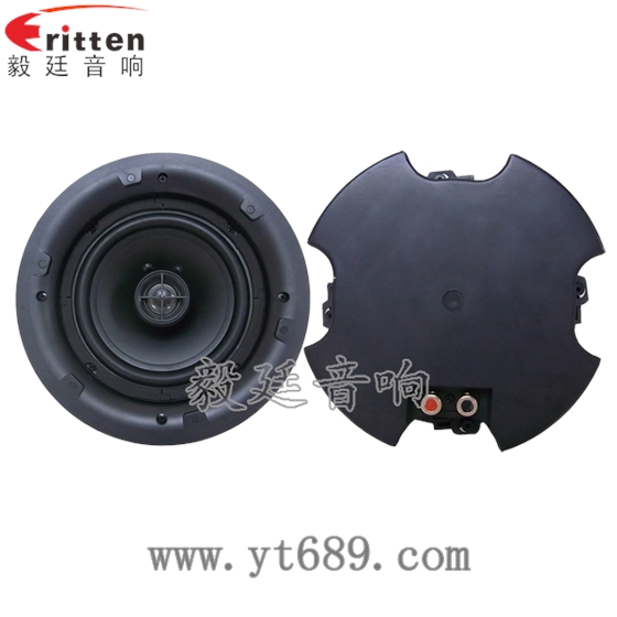 8''250w 重低音喇叭正反面