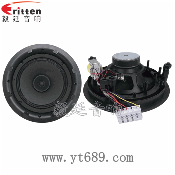 58mm20芯8瓦內(nèi)磁全頻喇叭正反面