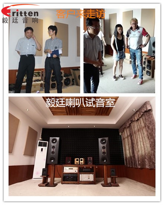 毅廷喇叭廠視聽室聲學設計、概念