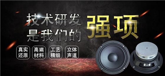 6.5寸中高音舞臺音箱喇叭