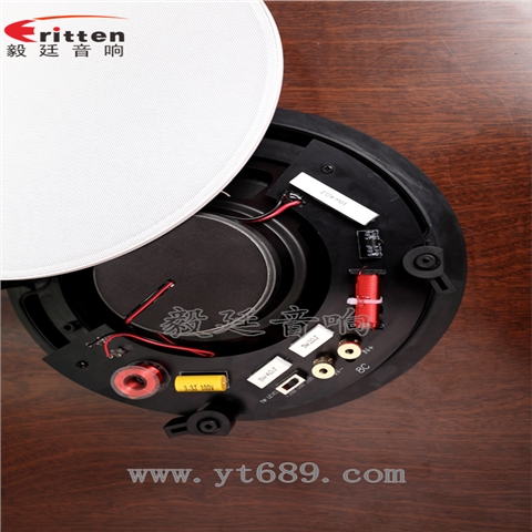 8寸天花吸頂喇叭