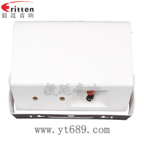 6.5寸2路墻壁音箱