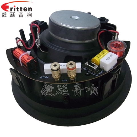 高端6.5寸吸頂式天花喇叭