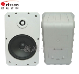 10寸專業(yè)音箱喇叭