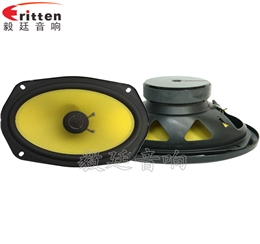 6寸25芯藍(lán)牙音箱全頻喇叭