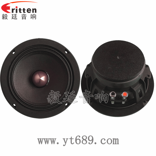 8''中低音舞臺(tái)音箱喇叭廠家正反面