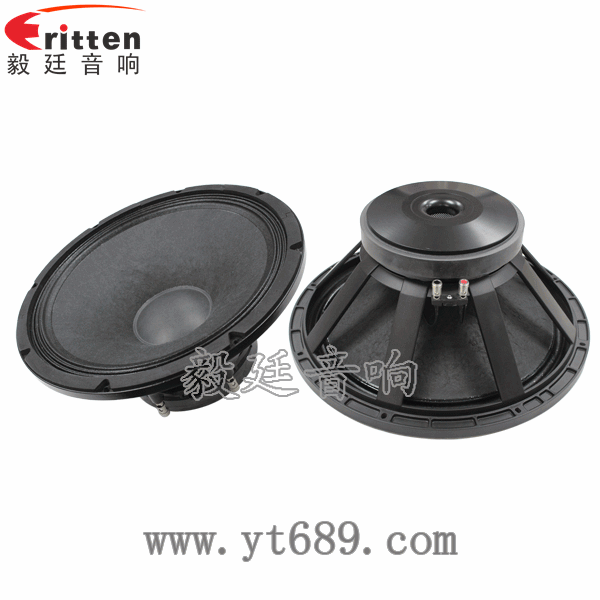 8''250w 重低音喇叭正反面