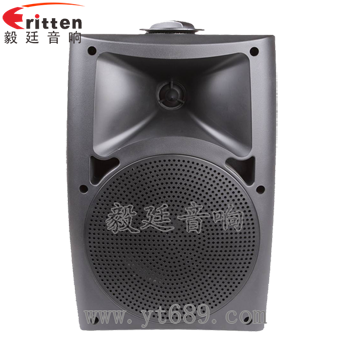 8''中低音舞臺音箱喇叭廠家正面圖